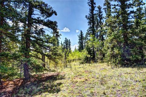 1217 Teton Trl, Como, CO 80432 photo 4