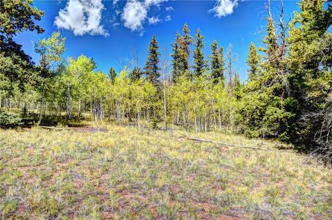 1217 Teton Trl, Como, CO 80432 photo 16