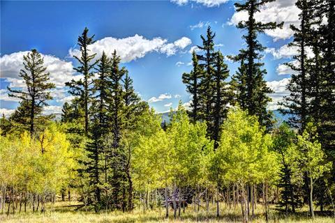 1217 Teton Trl, Como, CO 80432 photo 10