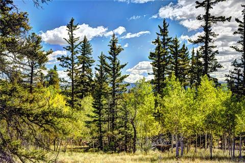 1217 Teton Trl, Como, CO 80432 photo 9
