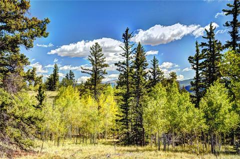 1217 Teton Trl, Como, CO 80432 photo 11