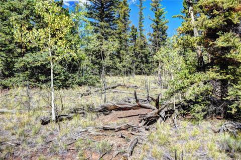 1217 Teton Trl, Como, CO 80432 photo 17