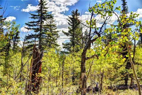 1217 Teton Trl, Como, CO 80432 photo 6