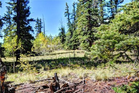 1217 Teton Trl, Como, CO 80432 photo 3