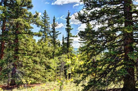 1217 Teton Trl, Como, CO 80432 photo 5