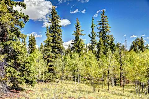 1217 Teton Trl, Como, CO 80432 photo 15