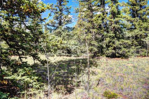 1217 Teton Trl, Como, CO 80432 photo 7