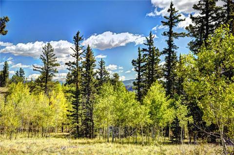 1217 Teton Trl, Como, CO 80432 photo 2