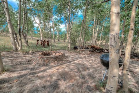 1742 Windmill Dr, Hartsel, CO 80449 photo 3
