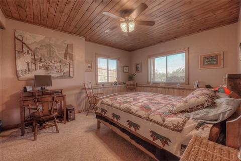 1742 Windmill Dr, Hartsel, CO 80449 photo 18