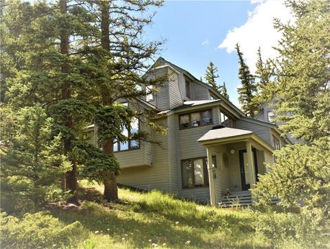 21 Guyot Ln, Dillon, CO 80435 photo 1