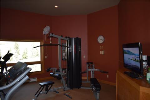 21 Guyot Ln, Dillon, CO 80435 photo 15