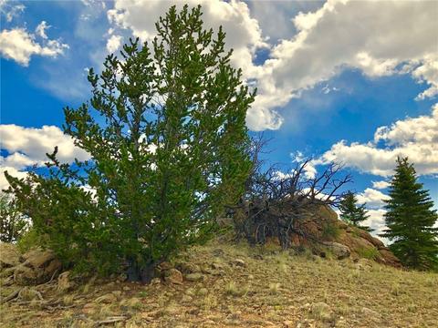 180 Buckhorn Rd, Como, CO 80432 photo 9