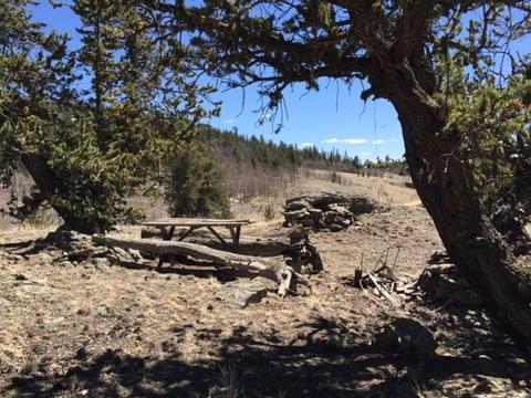 635 Ouray Trl, Como, CO 80432 photo 9