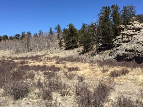 635 Ouray Trl, Como, CO 80432 photo 2