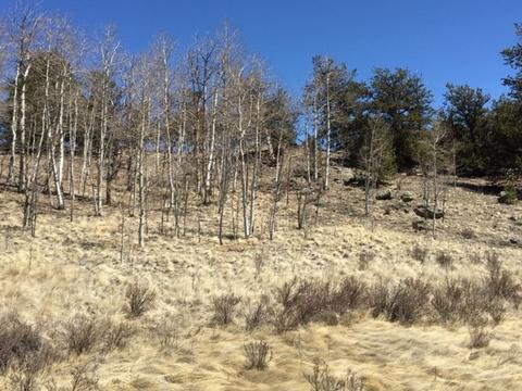 635 Ouray Trl, Como, CO 80432 photo 5