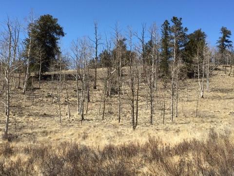 635 Ouray Trl, Como, CO 80432 photo 17