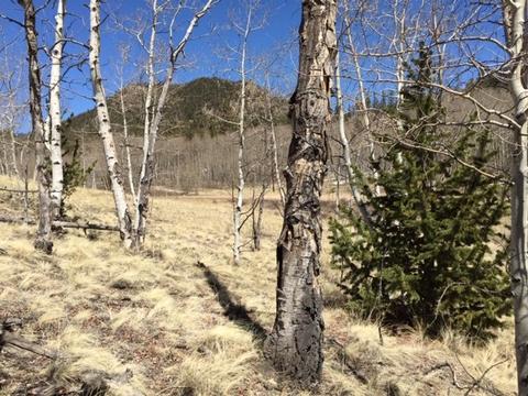 635 Ouray Trl, Como, CO 80432 photo 15