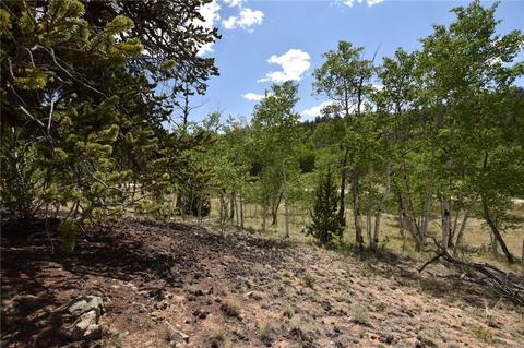 635 Ouray Trl, Como, CO 80432 photo 25