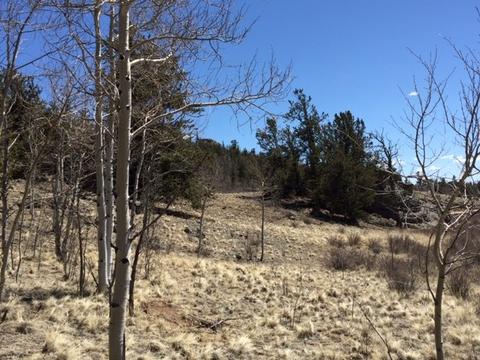 635 Ouray Trl, Como, CO 80432 photo 7