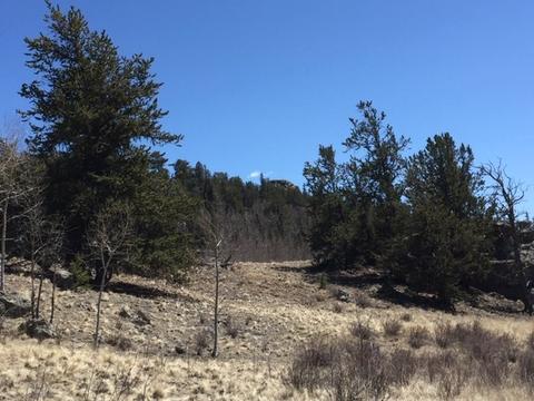 635 Ouray Trl, Como, CO 80432 photo 6