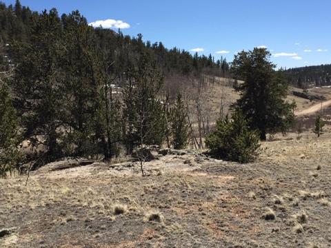 635 Ouray Trl, Como, CO 80432 photo 10