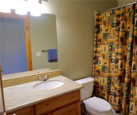 75 Snow Peak Ct, Dillon, CO 80435 photo 12