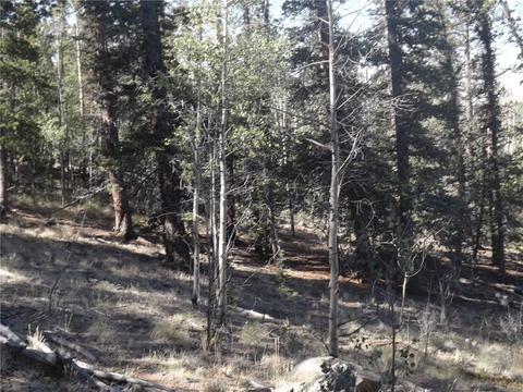 631 Bowstring Rd, Como, CO 80432 photo 6