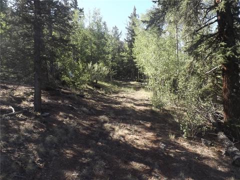 631 Bowstring Rd, Como, CO 80432 photo 13