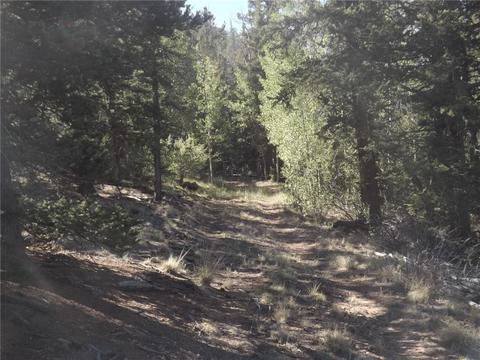 631 Bowstring Rd, Como, CO 80432 photo 5