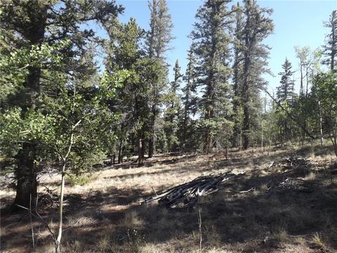 631 Bowstring Rd, Como, CO 80432 photo 15