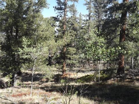 631 Bowstring Rd, Como, CO 80432 photo 19