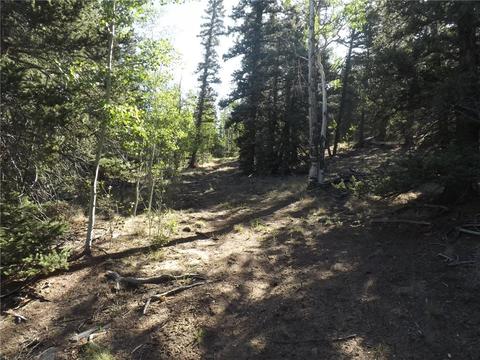 631 Bowstring Rd, Como, CO 80432 photo 14