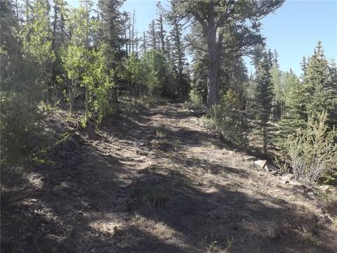 631 Bowstring Rd, Como, CO 80432 photo 2