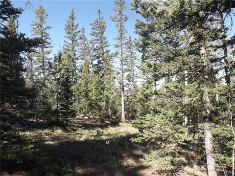 631 Bowstring Rd, Como, CO 80432 photo 18