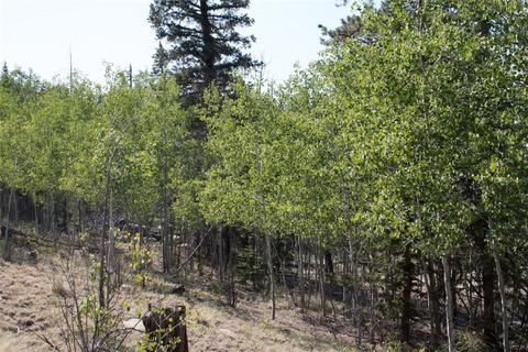 526 Quiver Rd, Como, CO 80432 photo 2