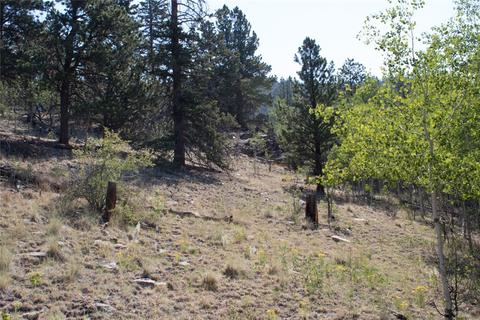 526 Quiver Rd, Como, CO 80432 photo 13