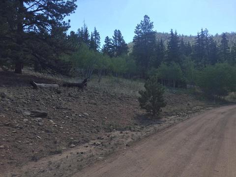 526 Quiver Rd, Como, CO 80432 photo 22