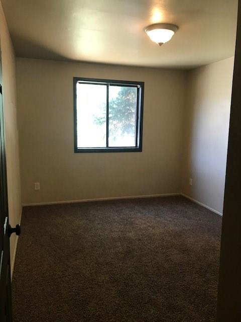 1338 Rainbow Dr, Silverthorne, CO 80498 photo 19