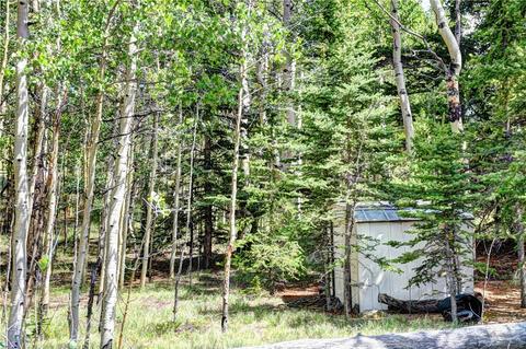 369 Ute Trl, Como, CO 80432 photo 16