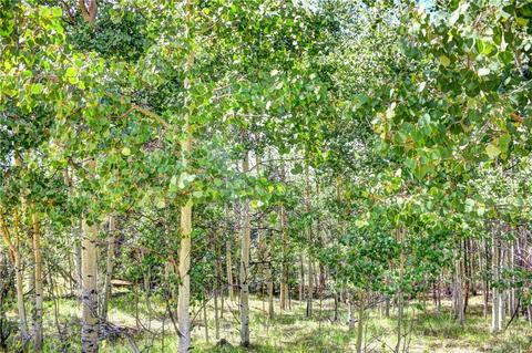 369 Ute Trl, Como, CO 80432 photo 23