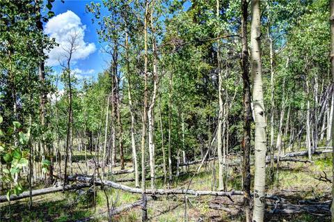 369 Ute Trl, Como, CO 80432 photo 6