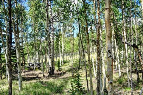 369 Ute Trl, Como, CO 80432 photo 8