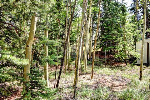 369 Ute Trl, Como, CO 80432 photo 25
