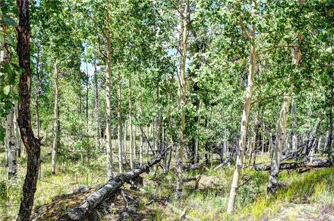 369 Ute Trl, Como, CO 80432 photo 12