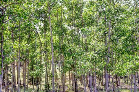 369 Ute Trl, Como, CO 80432 photo 20