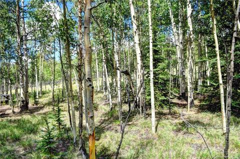369 Ute Trl, Como, CO 80432 photo 7