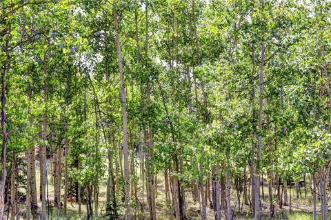 369 Ute Trl, Como, CO 80432 photo 21
