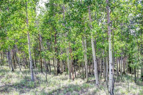 369 Ute Trl, Como, CO 80432 photo 19