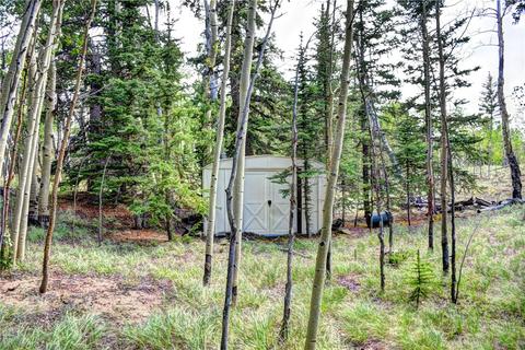 369 Ute Trl, Como, CO 80432 photo 9